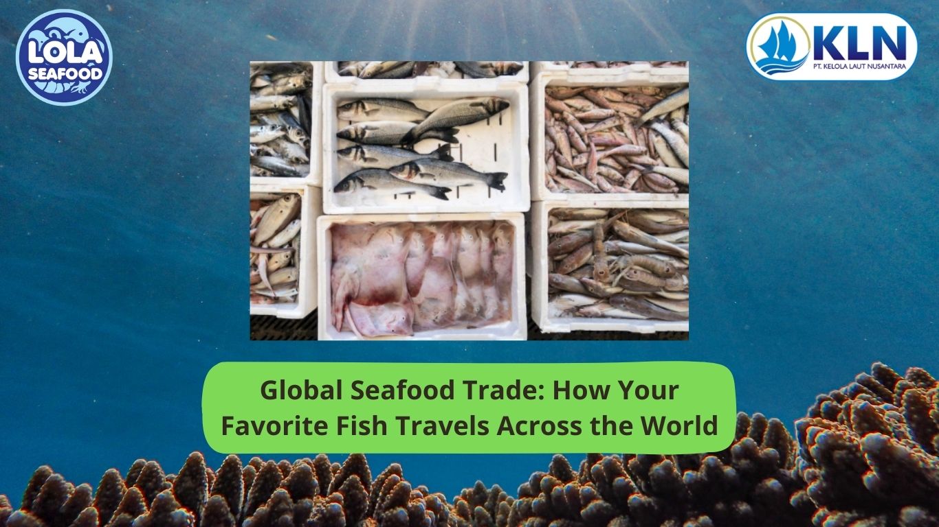 Global Seafood Trade: How Your Favorite Fish Travels Across the World